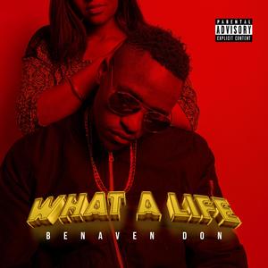 What A Life (Explicit)