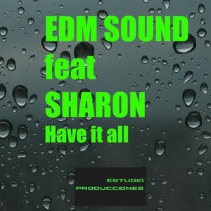 Have It All (Original Mix)