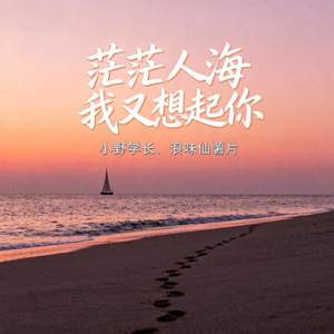 茫茫人海我又想起你