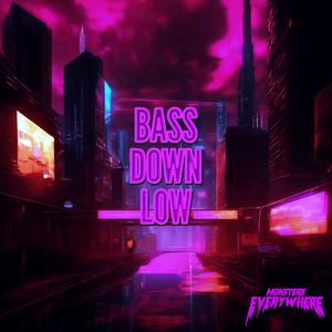 BASS DOWN LOW