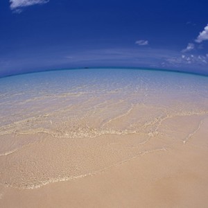 精神小伙摇摆节奏 (Remix)