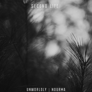 Second Life