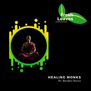 Dr. Bendict Nervo - Amusing Riddles (Original Mix)