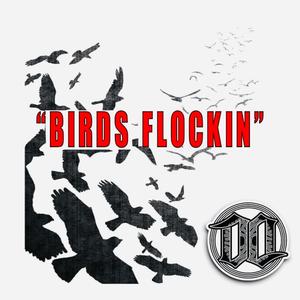 BIRDS FLOCKIN (Explicit)