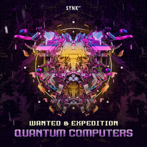 Quantum Computers