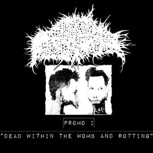 Dead Within The Womb And Rotting (Explicit)