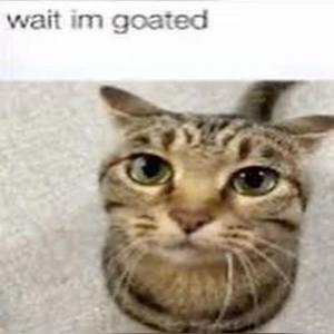 goated (Explicit)