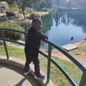 Class In Session(feat. D-Ranks, Coolkay & Rap Trap) (Explicit)