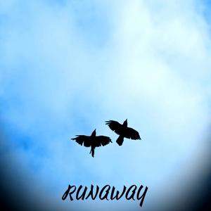 R U N A W A Y (feat. Twizzi, Picasso Sight, Dope Luke & Meshac) [Explicit]