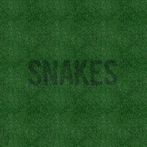 Snakes(feat. Scho)