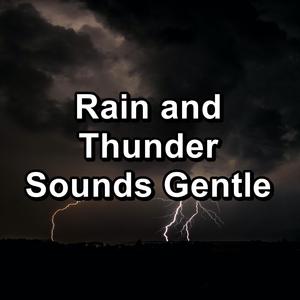 Calm Rain For Peace in the Night