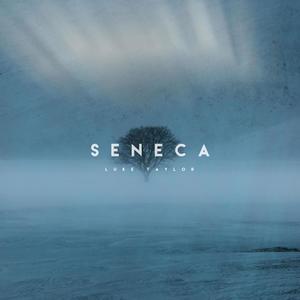 Seneca (Novo Amor Ambient Instrumental)