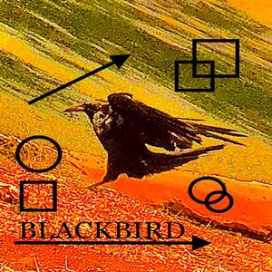 BLACKBIRD (Explicit)