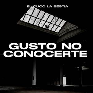 Gusto no Conocerte