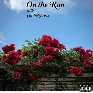 On The Run (feat. CardiakFroze)