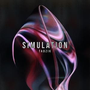 Simulation