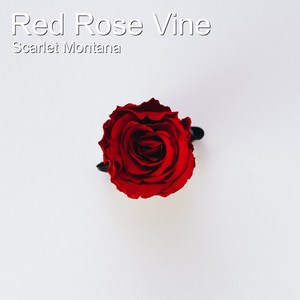 Red Rose Vine