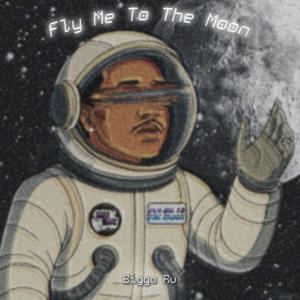 Fly Me To The Moon