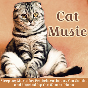 Cat Music : Sleeping Music for Pet Relaxation as You Soothe and Unwind by the Winter Piano