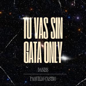 Tu Vas Sin Gata Only (Mashup)