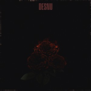 Desnu (Explicit)