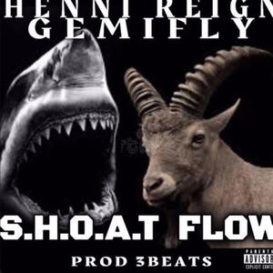 Shoat flow (feat. Gemifly) (Explicit)