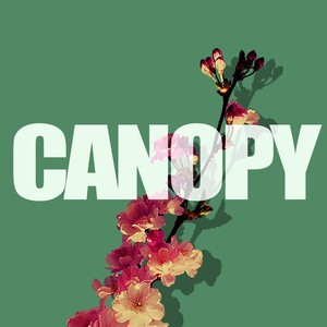 Canopy