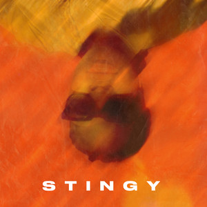 Stingy (Explicit)