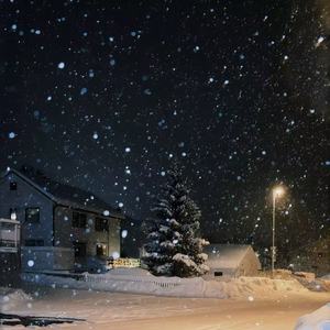 大眠（都快忘了怎样恋一个爱）