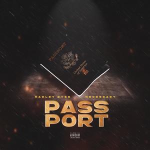 Passport (feat. Stunna2fly & Necessary) (remix|Explicit)