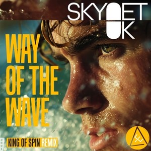 Way of the Wave (King of Spin Remix)