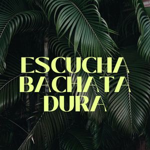 Escucha Bachata dura