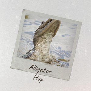 Alligator Hop