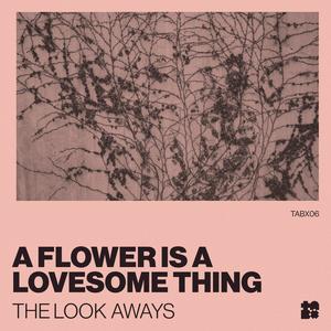 A Flower Is A Lovesome Thing (feat. Erica Wilkes, Anson Hohne, Ben Rice & Paul DeFiglia)