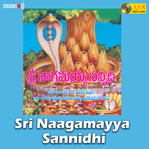 Sri Naagamayya Sannidhi