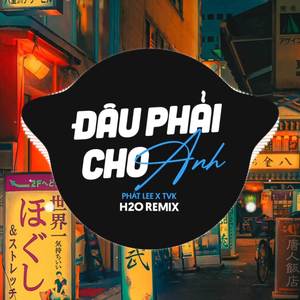 Đâu Phải Cho Anh (Remix Vinahouse)