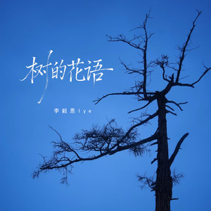 李毅恩Lye - 树的花语 (伴奏)