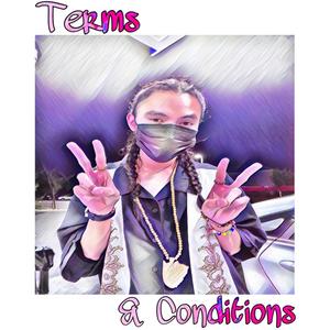 Terms & Conditions