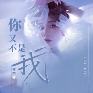 你又不是我