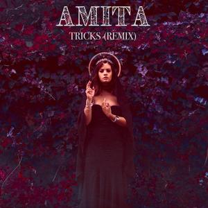 Tricks (Remix)