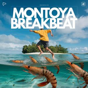 Montoya Breakbeat