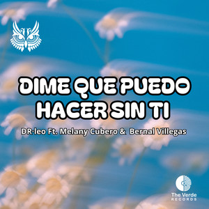 Dime Que Puedo Hacer Sin Ti (Remix)