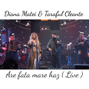 Are fata mare haz (Live)