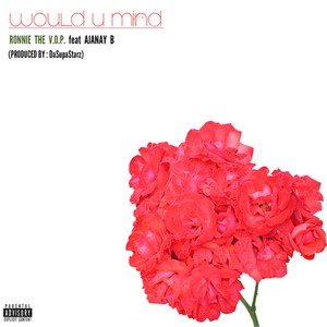 Would U Mind (feat. Ajanay B.) (Explicit)