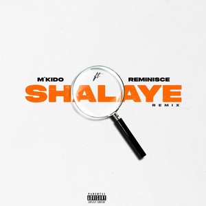 Shalaye (Remix)