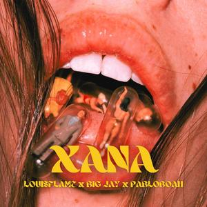 XANA (feat. BIG JAY & pabloboah) [Explicit]
