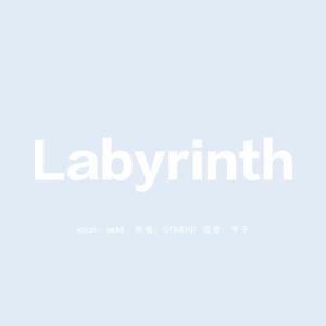 Labyrinth-迷宫