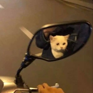 buông drill nhau ra