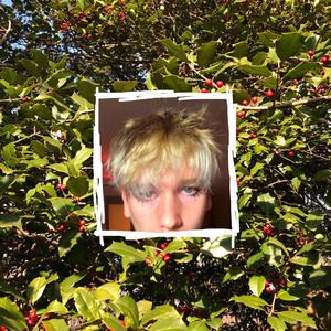 it's okay, i promise!