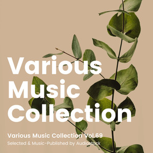 Various Music Collection Vol.69 -Selected & Music-Published by Audiostock-